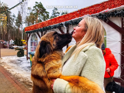 Выставка собак на Привале успешно состоялась!
